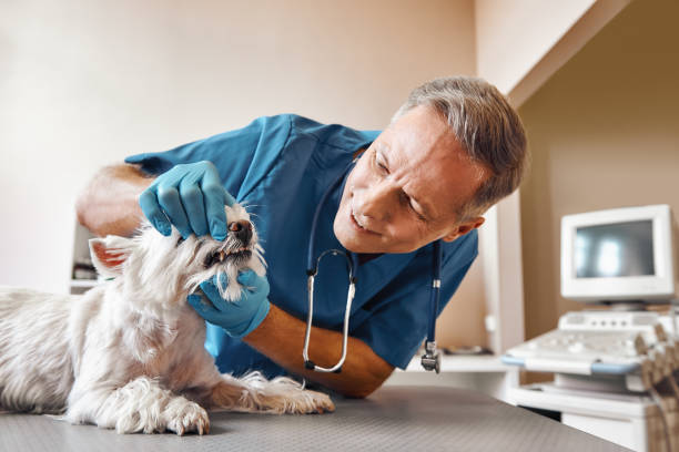 Best Emergency Tooth Extraction in Anderson, CA